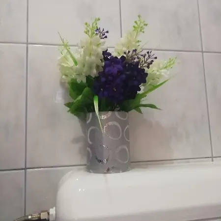 Bevanda Apartmán