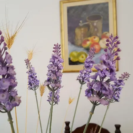 Apartamento Bevanda Pula