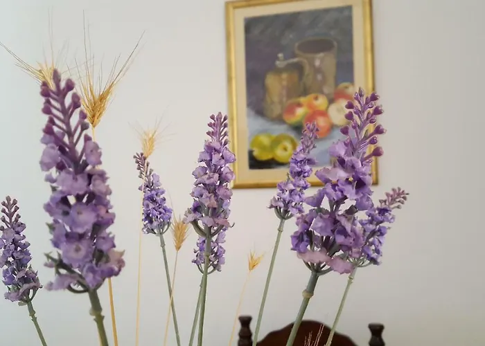 Apartment Bevanda Pula